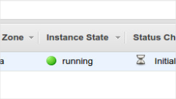 Amazon Cloud Servers For Beginners:  Console VS Command-Line