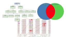 An Overview Of Computer Science Concepts For Engineers