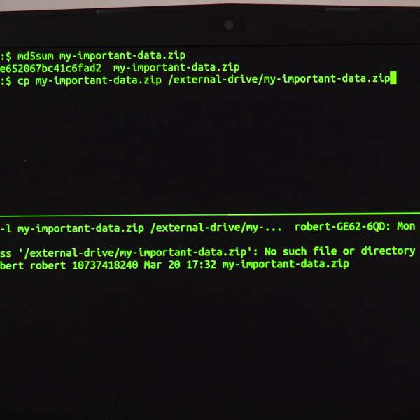 Using 'cp' Command