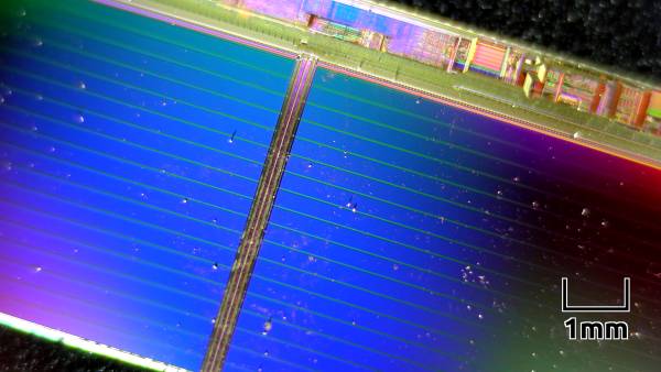 Dust On Microchip